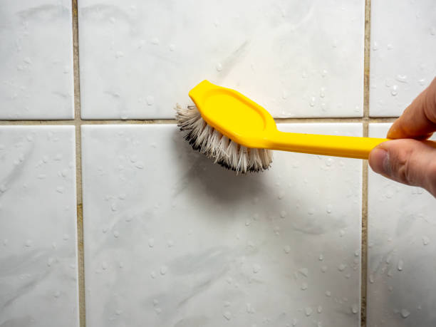 Best Affordable Mold Removal  in Merrillville, IN