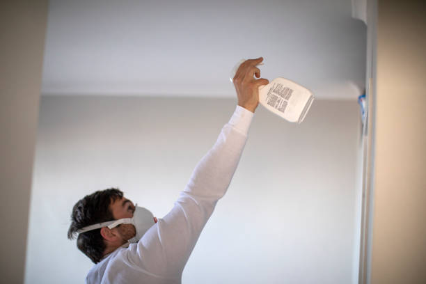 Best Local Mold Removal Service  in Merrillville, IN