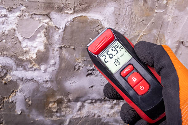 Best Residential Mold Removal  in Merrillville, IN