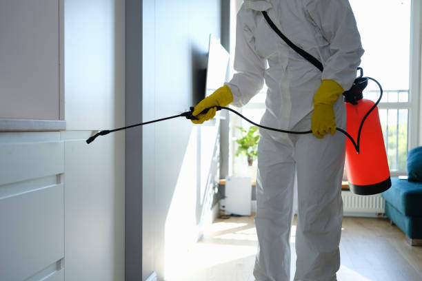 Trusted Merrillville, IN Mold Removal Experts