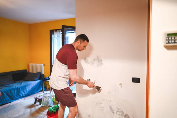 Best Local Mold Removal Service  in Merrillville, IN